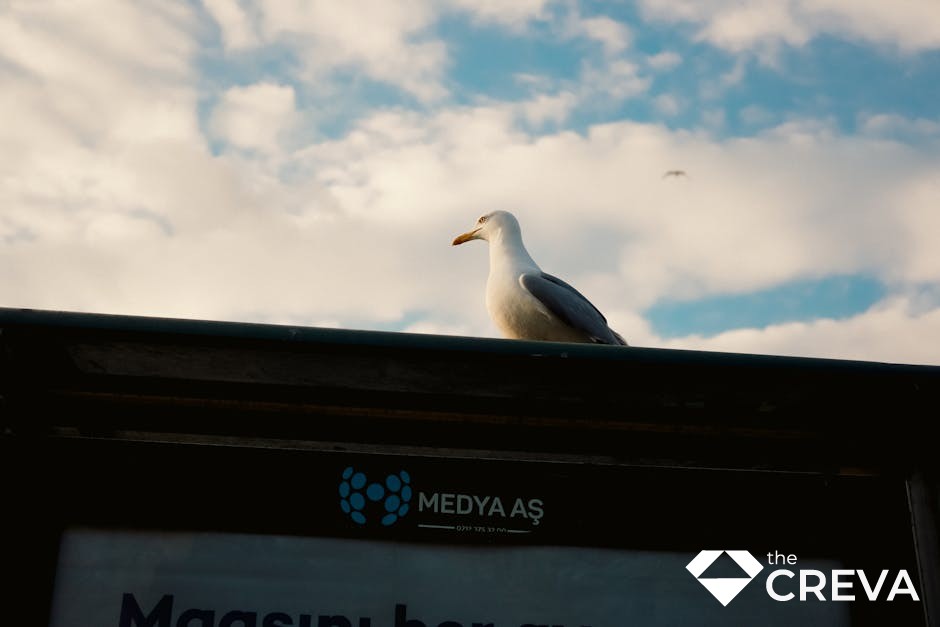 Sosyal Medya İçerik Planlama görseli