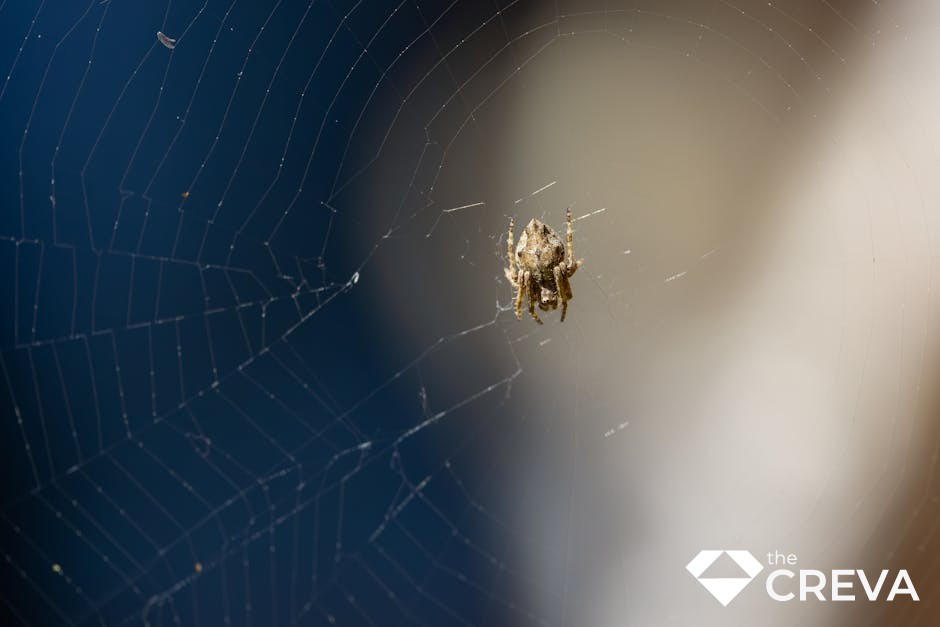 Adana Web Yazılım Firmaları görseli